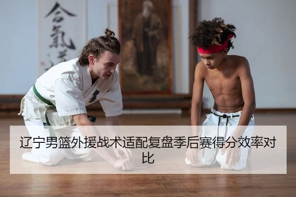 辽宁男篮外援战术适配复盘季后赛得分效率对比